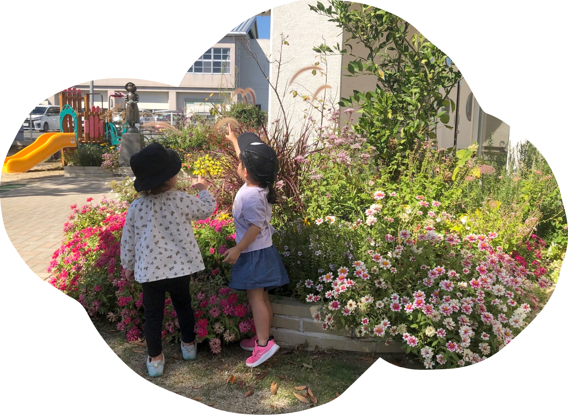 素敵な花壇の紹介